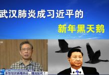 郭宝胜:武汉肺炎成习近平的新年黑天鹅、公信力执政能力断崖式下跌