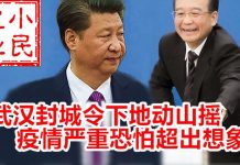 小民之心:武汉封城令下地动山摇 疫情严重恐怕超出想象