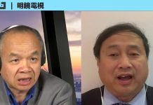 王军涛 陈小平:武汉肺·炎是中共黑天鹅,习近平应该负全责