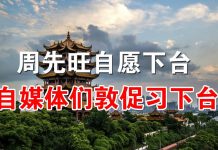 郭宝胜:武汉市长周先旺自愿下台但他暗示李克强更该下台、海外自媒体们发起活动敦促习近平下台