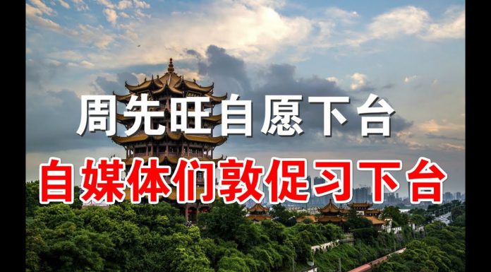 郭宝胜:武汉市长周先旺自愿下台但他暗示李克强更该下台、海外自媒体们发起活动敦促习近平下台
