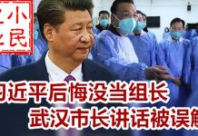 小民之心:习近平后悔没当组长 武汉市长讲话被误解