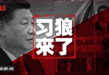 中国新闻:习近平出访,缅甸人喊“狼来了”!出国前告戒政法委:守住皇位!