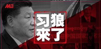 中国新闻:习近平出访,缅甸人喊“狼来了”!出国前告戒政法委:守住皇位!
