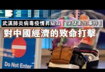 夏业良:武汉肺炎病毒疫情升级为“突发卫生事件”对中国经济的致命打击