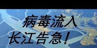 李一平:發現一個武漢肺炎病毒傳播新途徑,長江可能成為傳染源!