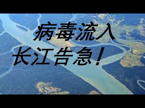李一平:發現一個武漢肺炎病毒傳播新途徑,長江可能成為傳染源!