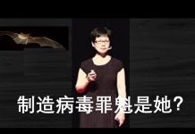 李一平:中國第一軍網揭露製造新冠病毒是人造,且找到“罪魁”鐵證!家醜外揚用意何在?