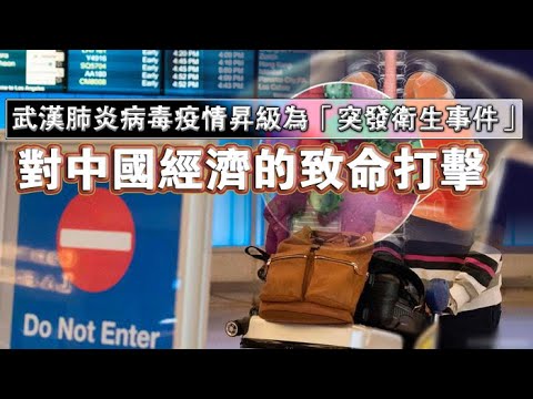 夏业良:武汉肺炎病毒疫情升级为“突发卫生事件”对中国经济的致命打击