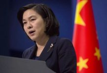夏业良:华春莹无端指控美国纯属恩将仇报,颠倒黑白