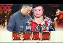 林林七:中国坐牢贪官患病现身香港?揭开监狱密云