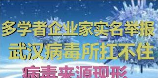 财经冷眼:多学者企业家实名举报,武汉病毒所扛不住了,病毒来源现形!