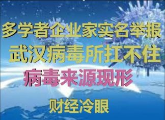 财经冷眼:多学者企业家实名举报,武汉病毒所扛不住了,病毒来源现形!