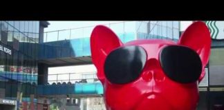 华尔街网报:习近平内部会议发指示叫停封城:再封下去经济就垮了!