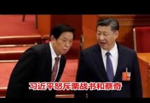 吴建民:病毒引入中南海,习近平怒斥栗战书和蔡奇;钟南山已经不是悬壶济世的良医
