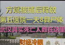 财经冷眼:方斌被捕后释放,第五医院一天8具尸体震惊中外,运尸袋不够用!武汉真实死亡人数在这里!