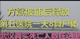 财经冷眼:方斌被捕后释放,第五医院一天8具尸体震惊中外,运尸袋不够用!武汉真实死亡人数在这里!