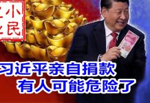 小民之心:习近平亲自捐款 有人可能危险了