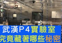 江峰:武漢P4實驗室不止一間!武漢病毒研究所的石正麗、周鵬合成病毒,這個國家在鼓勵科學家成魔