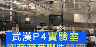 江峰:武漢P4實驗室不止一間!武漢病毒研究所的石正麗、周鵬合成病毒,這個國家在鼓勵科學家成魔