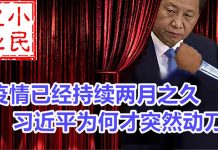 小民之心:武汉疫情已经持续两月之久 习近平为何才突然动刀