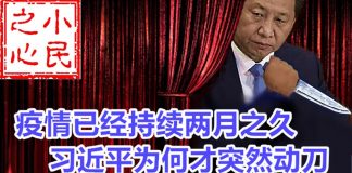 小民之心:武汉疫情已经持续两月之久 习近平为何才突然动刀