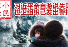 小民之心:习近平亲自游说失败 世卫组织已发出警报