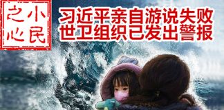 小民之心:习近平亲自游说失败 世卫组织已发出警报
