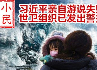 小民之心:习近平亲自游说失败 世卫组织已发出警报