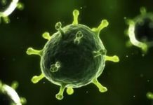 华尔街网报:湖北病死率高达18%,武汉每天新增2万感染者,从发病到死亡平均3周;中国尚未准许美国专家团队入境太蹊跷