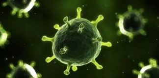 华尔街网报:湖北病死率高达18%,武汉每天新增2万感染者,从发病到死亡平均3周;中国尚未准许美国专家团队入境太蹊跷