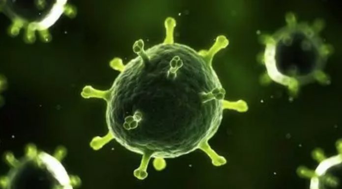 华尔街网报:湖北病死率高达18%,武汉每天新增2万感染者,从发病到死亡平均3周;中国尚未准许美国专家团队入境太蹊跷