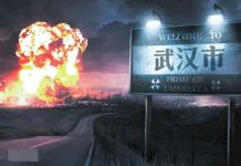 再战辛亥:武汉危机