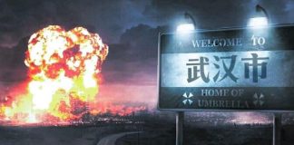 再战辛亥:武汉危机