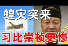 郭宝胜:蝗灾伴瘟疫接踵而至、习遭天谴厄运惨过崇祯帝!