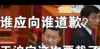 郭宝胜:举报王沪宁背后大有文章、中国应向全世界道歉抑或相反?习崇祯要怒废魏忠贤!