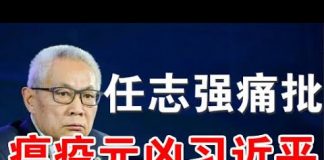 郭宝胜:任志强痛批习近平象剥光了衣服也要坚持当皇帝的小丑(全文)
