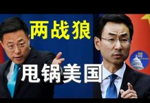 郭宝胜:中共外交两战狼极力甩锅,称美国是病毒源,欠中国一个道歉