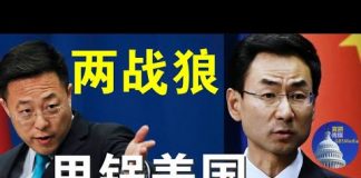 郭宝胜:中共外交两战狼极力甩锅,称美国是病毒源,欠中国一个道歉