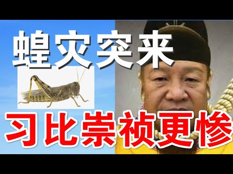 郭宝胜:蝗灾伴瘟疫接踵而至、习遭天谴厄运惨过崇祯帝!