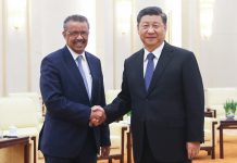 民调:66.4%的网友认为,世卫组织总干事谭德塞应该承担法律责任