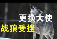 郭宝胜:捷克要更换中共驻捷大使、战狼式外交屡遭重挫
