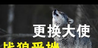 郭宝胜:捷克要更换中共驻捷大使、战狼式外交屡遭重挫