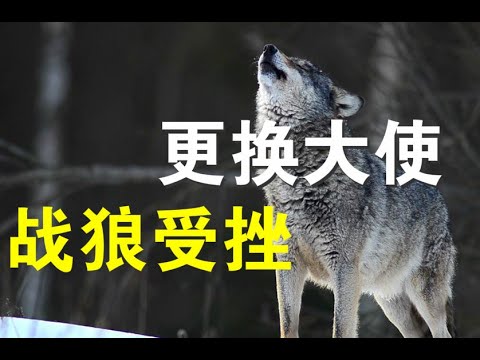 郭宝胜:捷克要更换中共驻捷大使、战狼式外交屡遭重挫