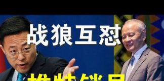 郭宝胜:崔天凯打脸赵立坚外交部分裂?美议员要求注销战狼们的推特账号!