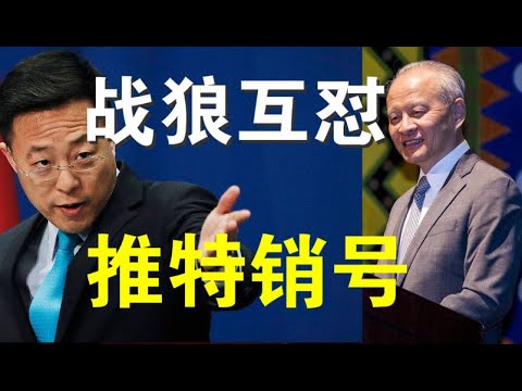 郭宝胜:崔天凯打脸赵立坚外交部分裂?美议员要求注销战狼们的推特账号!