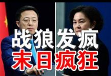 郭宝胜:中共外交两战狼疯狂发推、点名批判川普彭佩奥、暴露中共末日心态