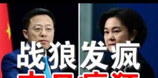 郭宝胜:中共外交两战狼疯狂发推、点名批判川普彭佩奥、暴露中共末日心态