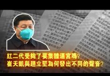 张杰:红二代受够了要集体逼宫吗?崔天凯与赵立坚为何发出不同的声音?