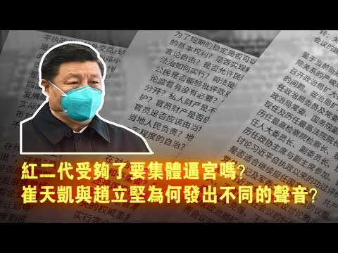 张杰:红二代受够了要集体逼宫吗?崔天凯与赵立坚为何发出不同的声音?